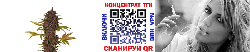 ТГК жижа Щёкино